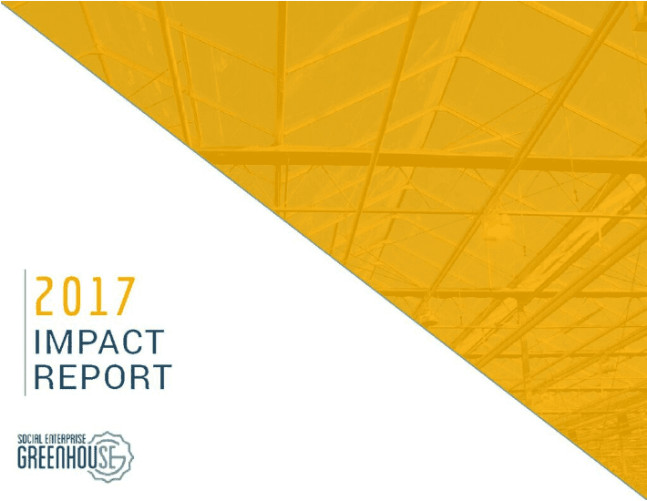 2017 Impact Report